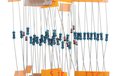 2024-11-14T22:34:20.874Z-image_22.jpg
