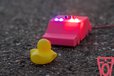 2024-12-22T22:54:18.646Z-_DSC6602-C.jpg