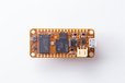 2020-08-03T01:32:19.254Z-orangeCrab-5.jpg