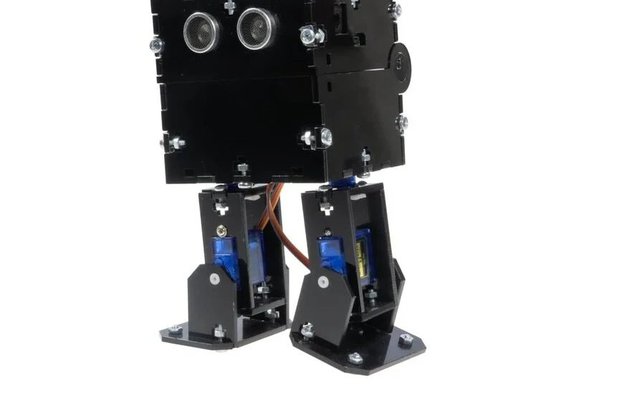 REX Discovery Series Robotistan Plexi Otto Robot