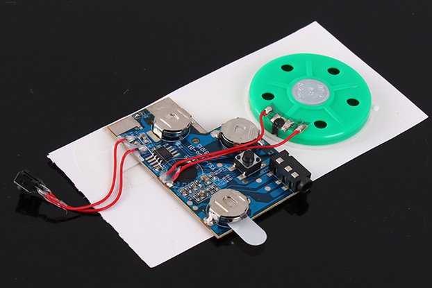 Button Control 120S Recordable Voice Module（13421）