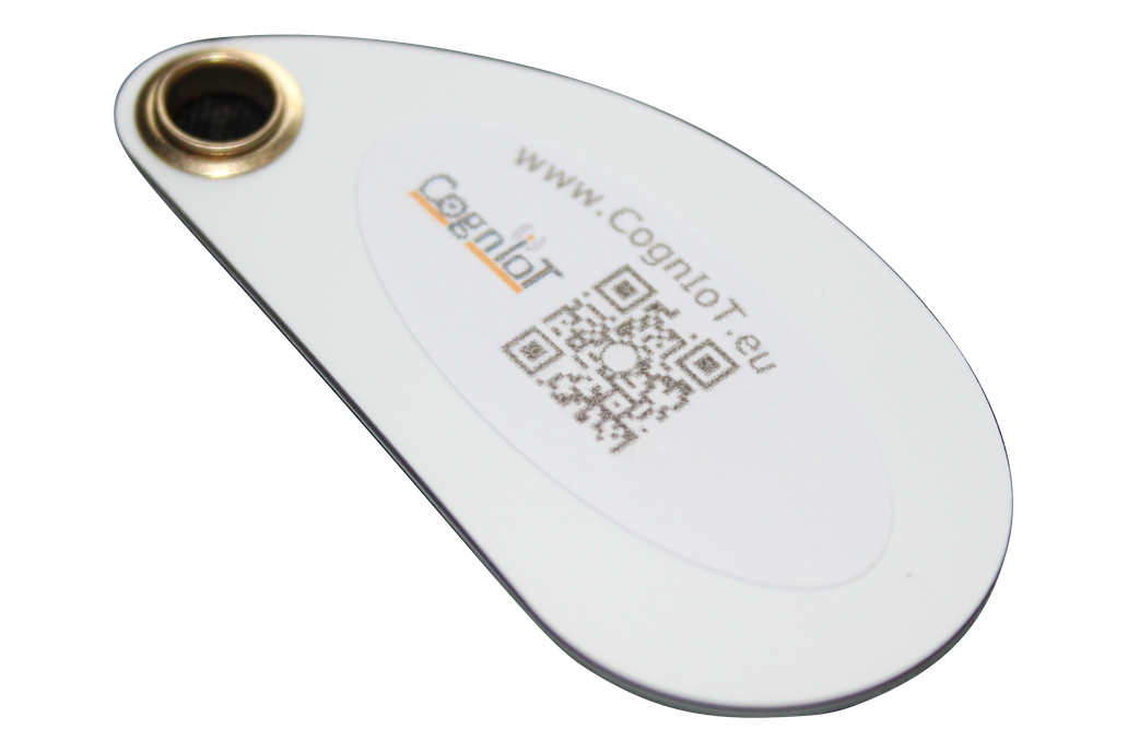 RFID Tag. PVC Fob. 125KHz. 3 of 1