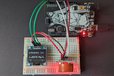 2024-09-28T13:28:12.197Z-PXL_20240316_154528990.jpg