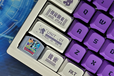 2024-07-28T15:26:12.828Z-shop mew.png