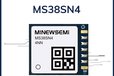 2024-10-24T07:47:27.826Z-MS38SN4.jpg