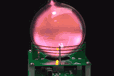 2024-10-01T03:07:16.370Z-N2.png