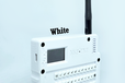 2025-02-12T03:52:15.834Z-White.png