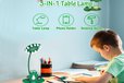 2024-10-15T01:50:15.488Z-DIY-Frog-Lamp-LED-Night-Light-Soldering-Kit-3.jpg