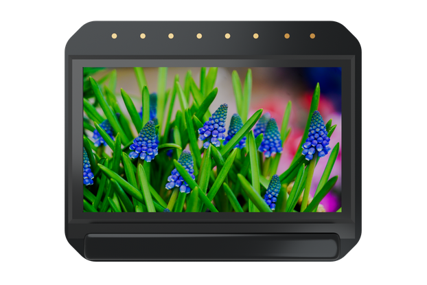 GZOT FHD 1.2 inch oled microdisplay