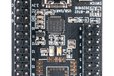 2023-12-13T06:29:22.187Z-RF-BT02.jpg