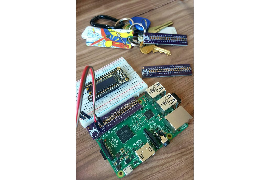 GPIO Reference Leaf for Raspberry Pi  1
