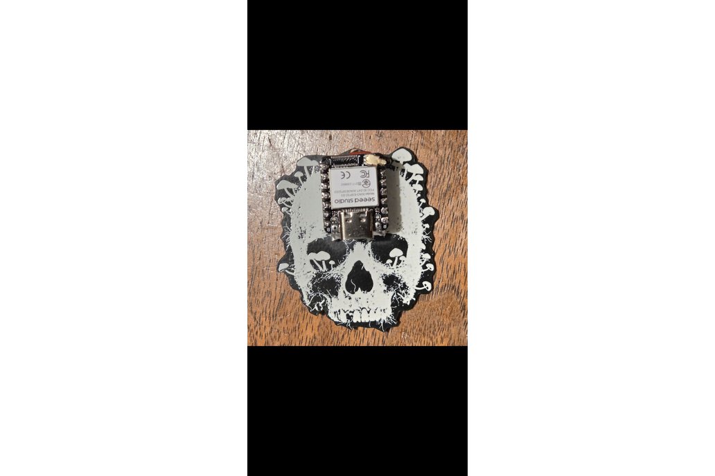 oui-spy earring set 1