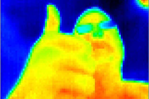 Shuttered Flir Lepton Thermal Camera and Breakout