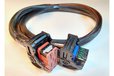 2022-05-15T07:25:26.624Z-rabbit ecu harness.jpg