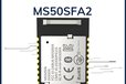2024-10-23T02:39:54.914Z-MS50SFA2.jpg