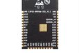 2023-02-28T16:45:39.181Z-ESP32.jpg