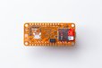 2020-08-03T01:32:19.254Z-orangeCrab-4.jpg