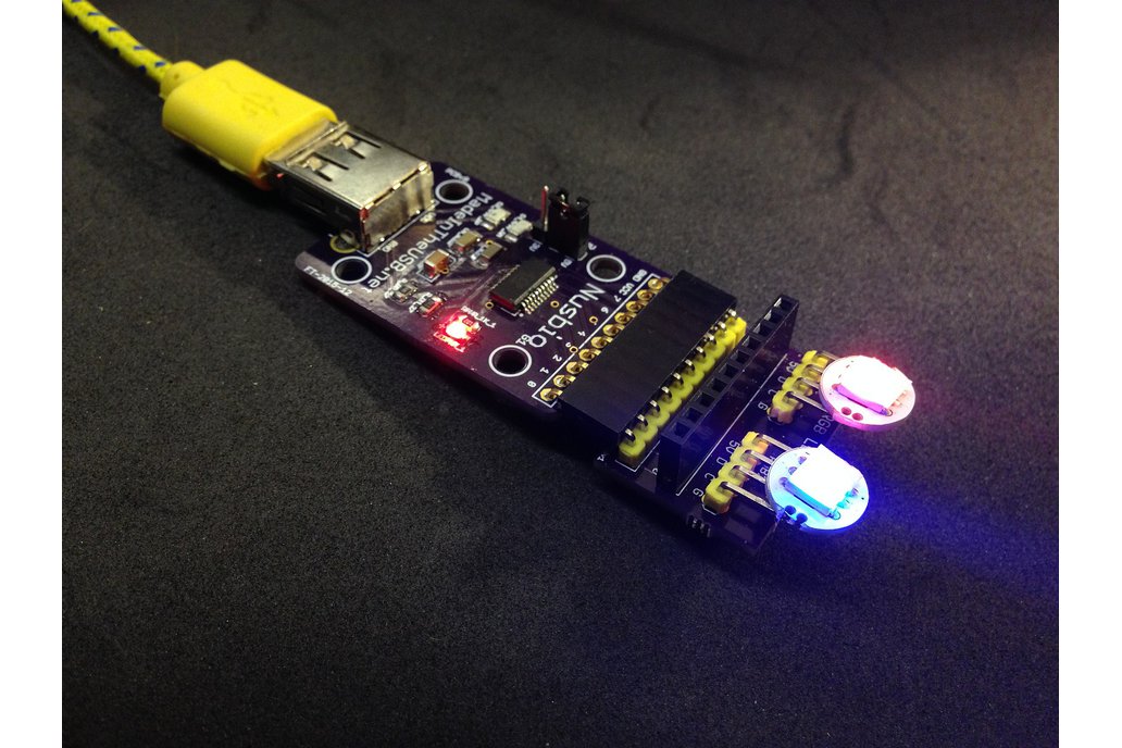 COMBO - Nusbio Board + 2 RGB LED Panel 1