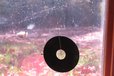 2024-11-05T18:57:48.060Z-Gong3DInWindow.JPG