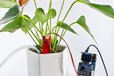 2024-08-05T03:35:55.947Z-Arduino_Automatic_Smart_Plant_Watering_Kit_2.1_3.jpg