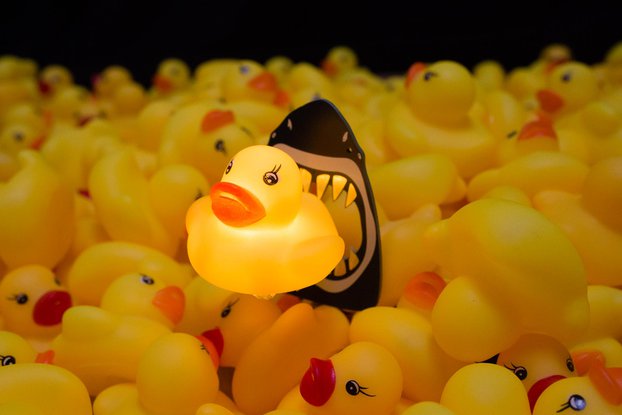 duckJAWS SAO