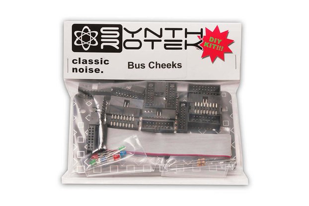 Bus Cheeks DIY Kit