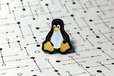 2020-07-29T20:56:00.563Z-Linux-Tux-Lapel-Pin-1.jpg