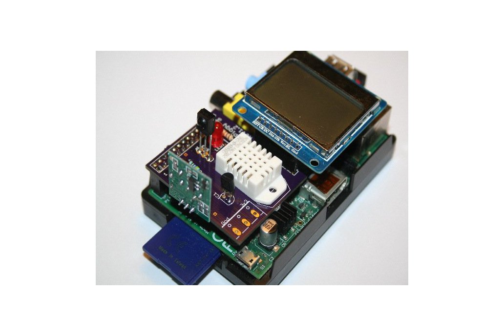 Raspiggy;  Interface your Raspberry PI to the world! 1