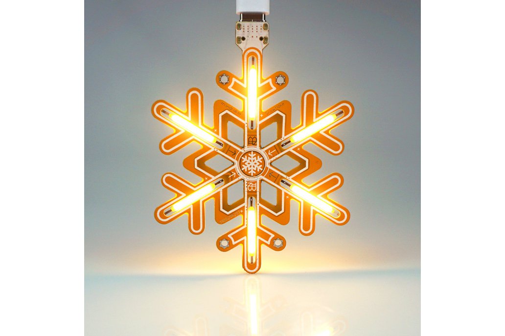 Snowflake Light 1