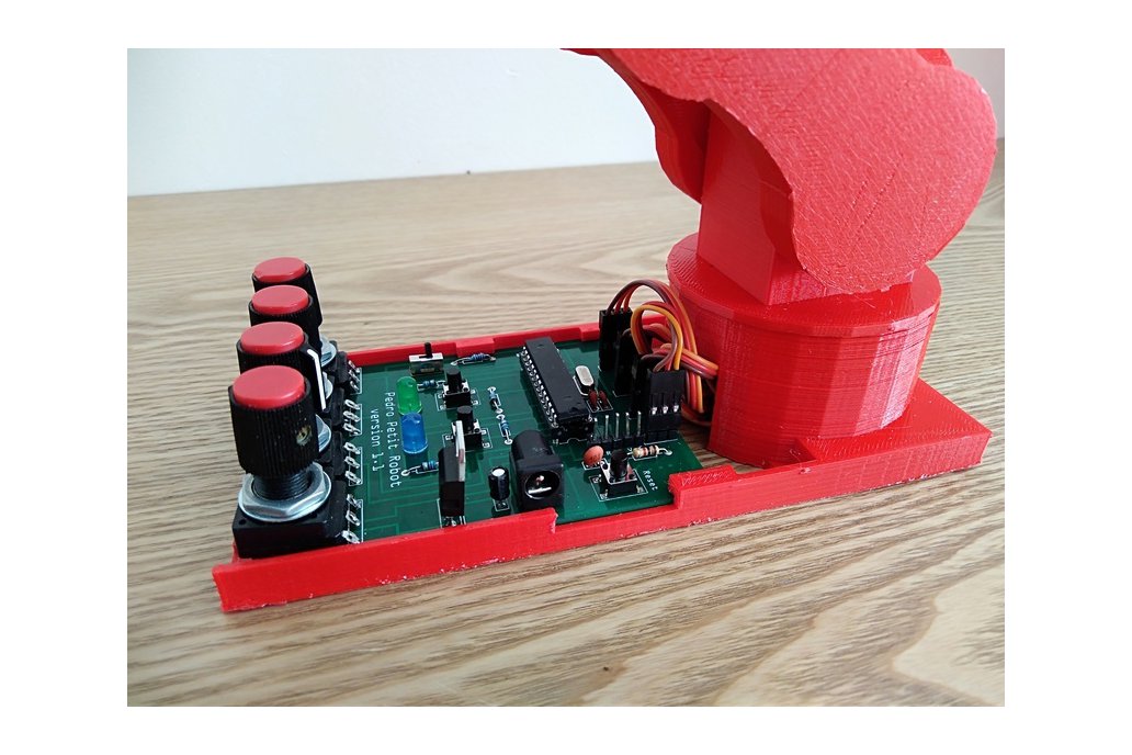 Pedro Robot Board 1
