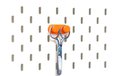 2025-01-10T08:53:48.465Z-skadis-scissors-26-1.jpg