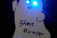 2020-08-17T01:50:33.527Z-Ghost Hunter Boo.jpg