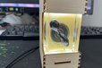 2024-11-06T02:37:10.488Z-F.jpg