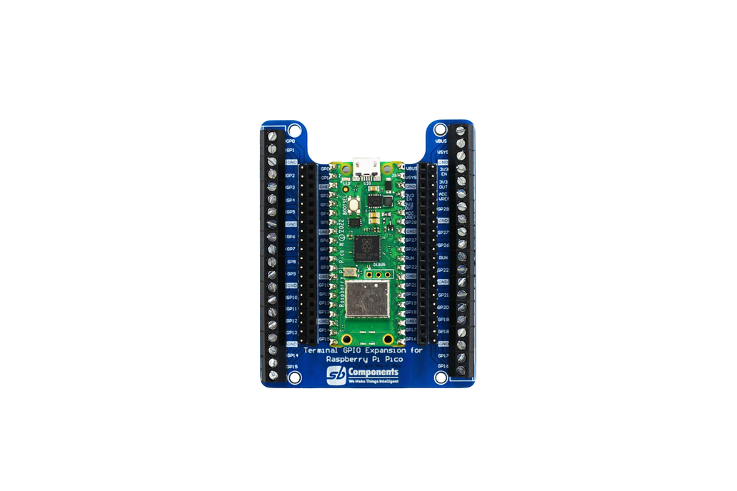 Raspberry Pi Pico Terminal GPIO Expansion 1