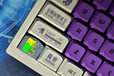 2024-07-28T15:26:12.828Z-shop mew holo.png