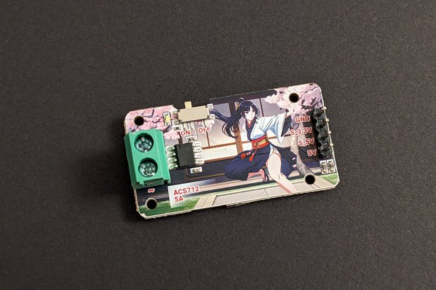 ACS712 5A Youth - Japan