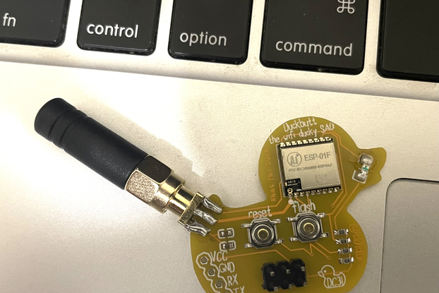 limited Duckbutt wireless testing SAO