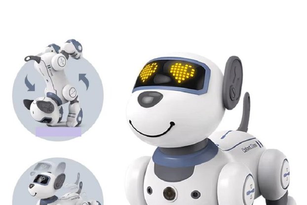 Intelligent Remote Control Robot Dog