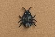 2025-09-18T07:12:30.983Z-deBug3.png
