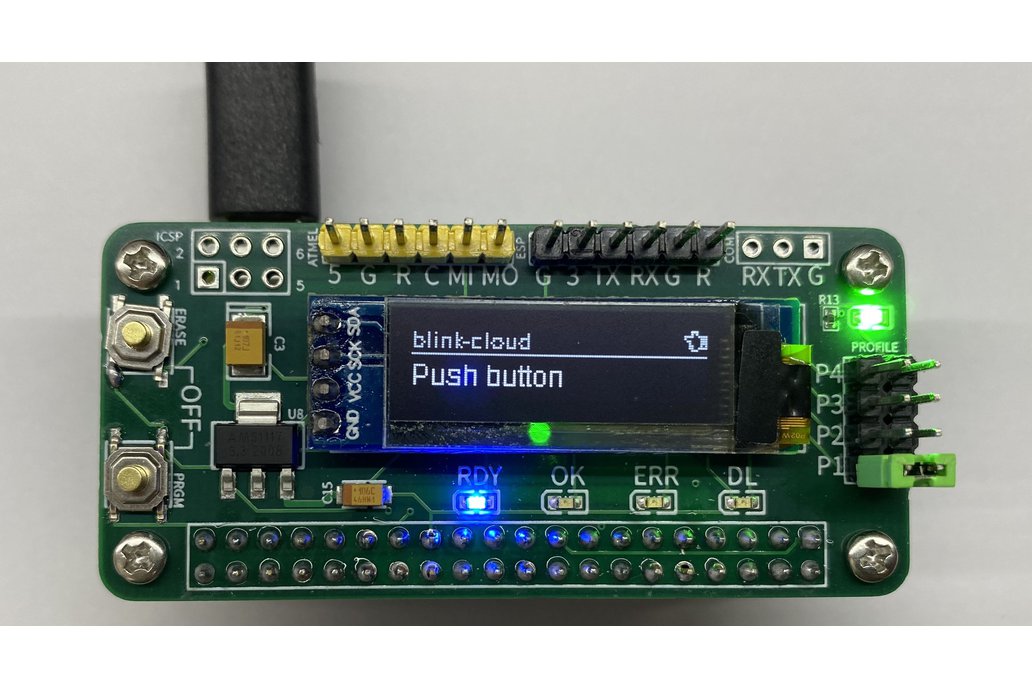 AVR, ESP Programmer for RPi Zero + Software 1