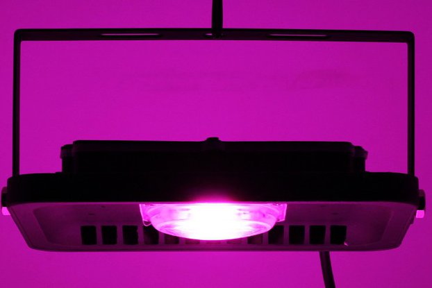 LED GROW 220V AC 50W plant hydroponic agriculture