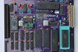 2025-08-05T23:54:17.735Z-OtterX_Mktg_1130.JPG