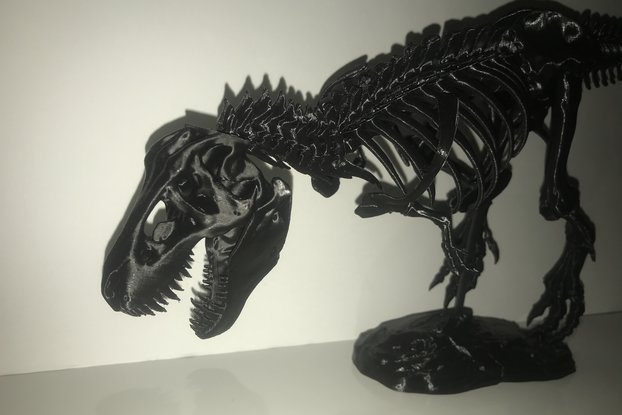 3D Printed Tyrannosaurus Rex T-rex Skeleton Puzzle