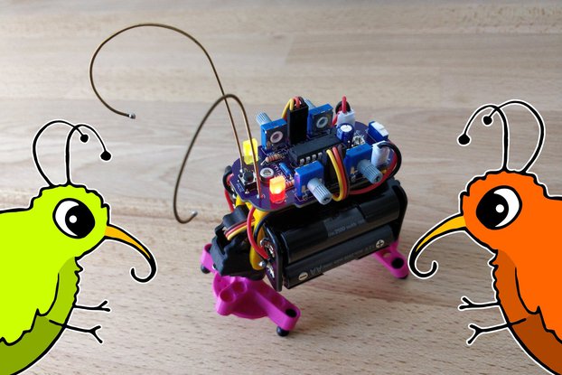 Bakiwi ~ The fabulous DIY walking robot kit.