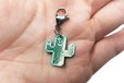 2023-06-28T20:30:44.407Z-Cactus Charm 1..jpeg