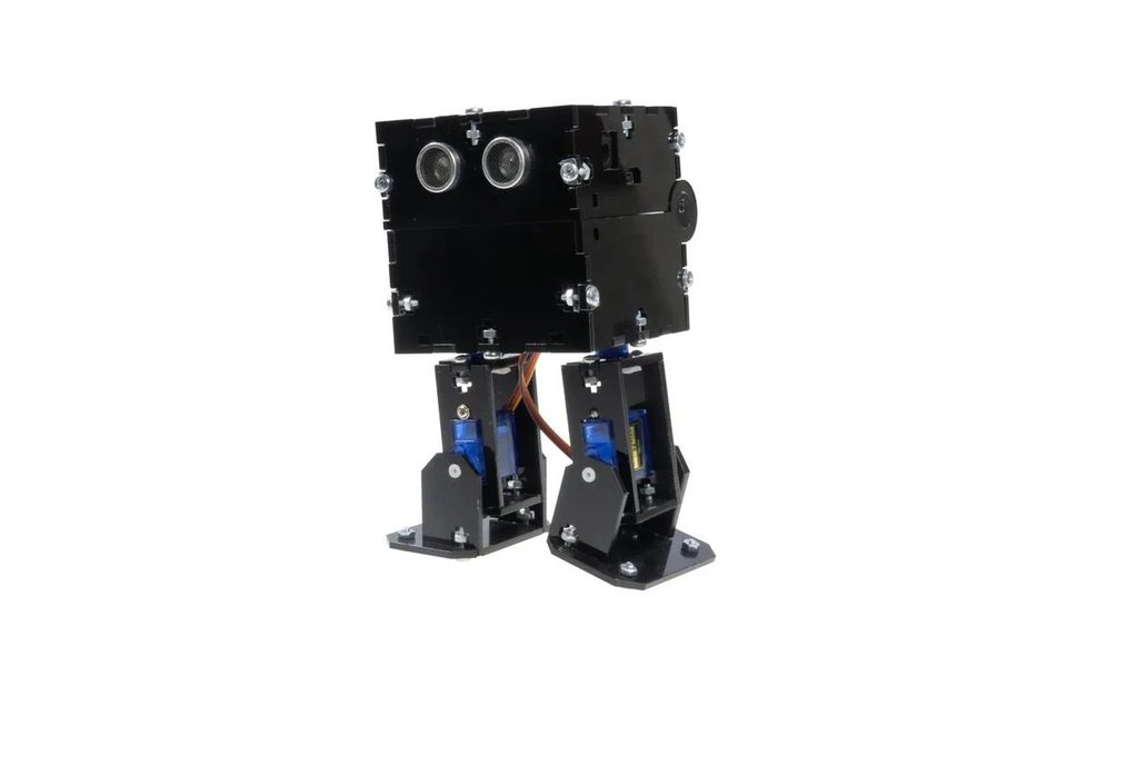 REX Discovery Series Robotistan Plexi Otto Robot 1