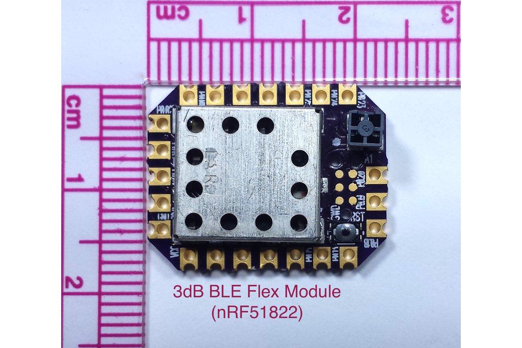 3dB BLE Bluetooth Flex Module 1