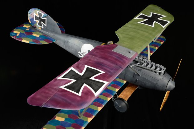Albatros D.Va Heritage Plane Edition