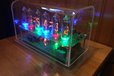 2024-12-19T19:21:46.777Z-Nixie10(9)..jpeg