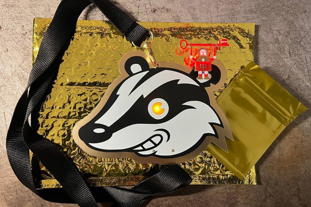 EFF Privacy Badger Badge